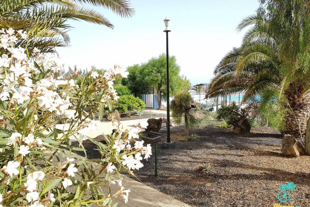 Appartement Bouganville Rez-De-Chaussee Wifi Costa De Antigua Buitenkant foto